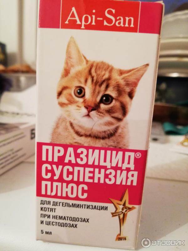 Таблетки против кошек. Лекарство от глистов для котят. Таблетки от глистов коту. Капли против глистов для котят. Кошачье лекарство от глистов.