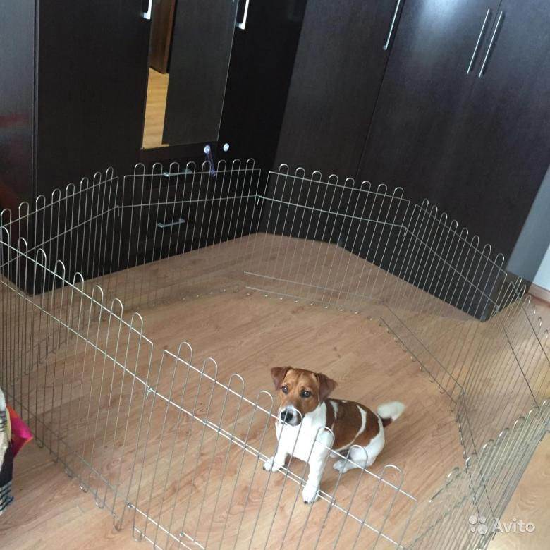 Вольеры для собак и щенков в квартиру: размеры, как сделать комнатный манеж своими руками, а также как построить красивый загон для маленьких питомцев?