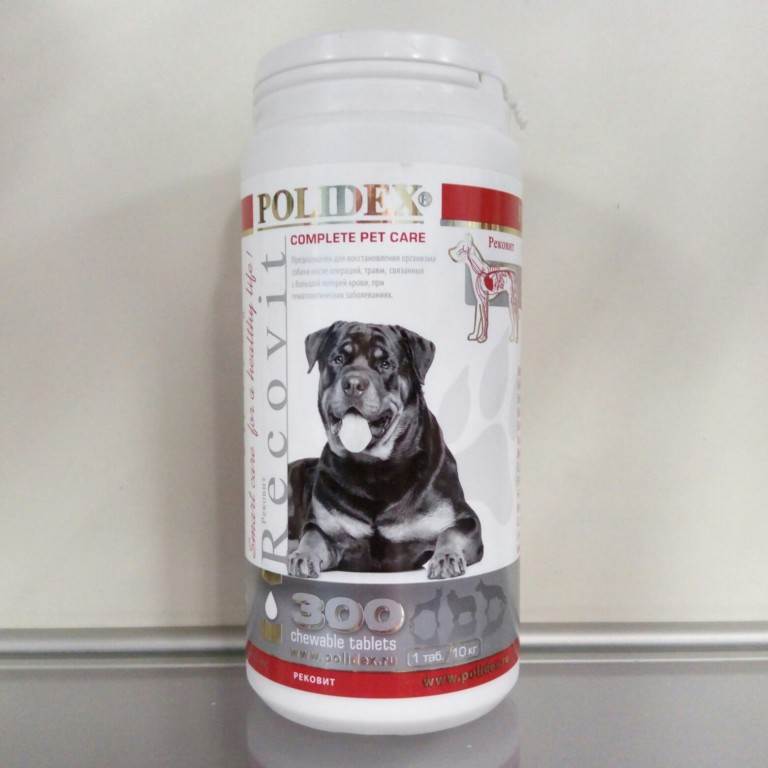 «полидекс» для собак: ассортимент витаминных комплексов, состав, инструкция по применению + отзывы ветеринаров