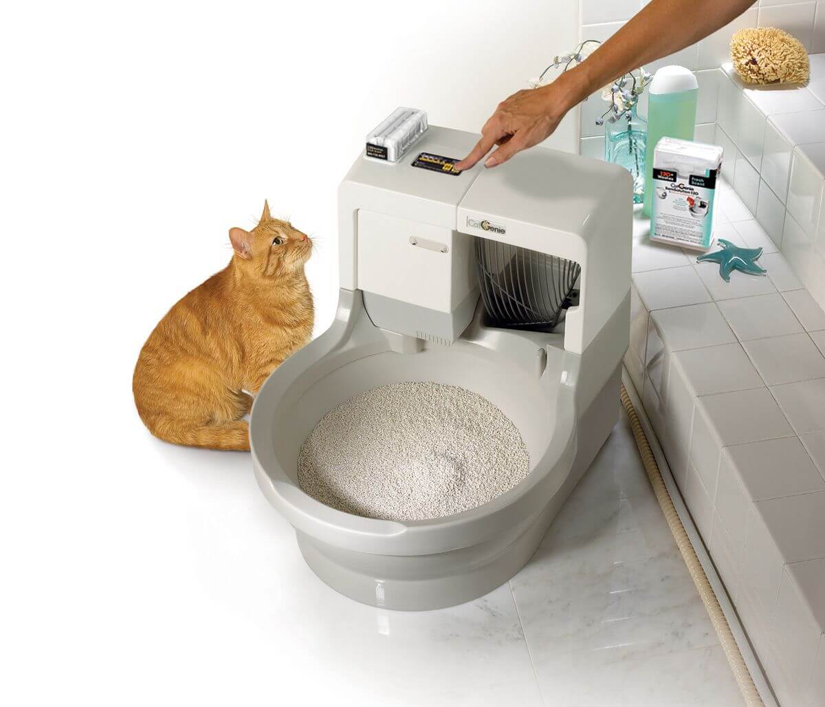 Рейтинг лучших туалетов (лотков) для кошек 2020 года для тех, кто содержит в своём доме пушистых питомцев
