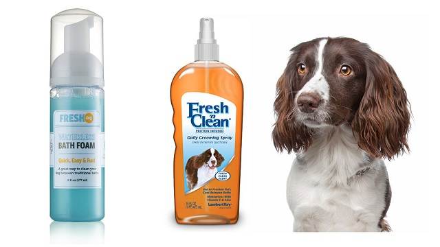 Можно ли мыть собаку человеческим шампунем. можно ли мыть собаку шампунем для людей