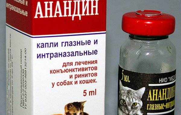 Максидин для собак и кошек: инструкция по применению