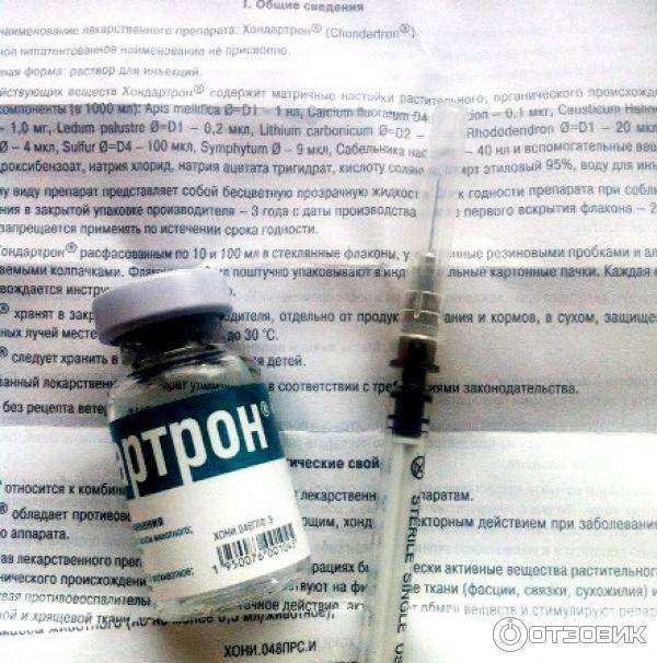 Хондартрон для собак: состав, показания и инструкция по применению
