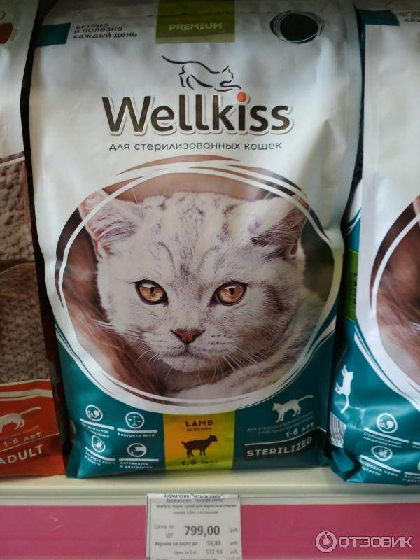 Корм для кошек wellkiss: отзывы, разбор состава, цена