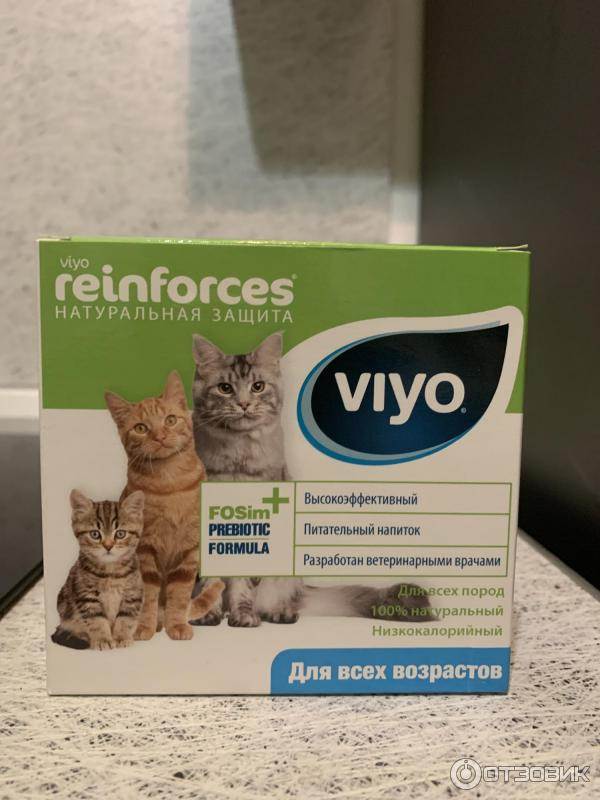 Пробиотики и пребиотики для кошек