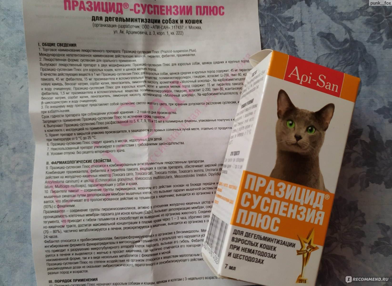 Средство от глистов для кошек: таблетки и суспензии