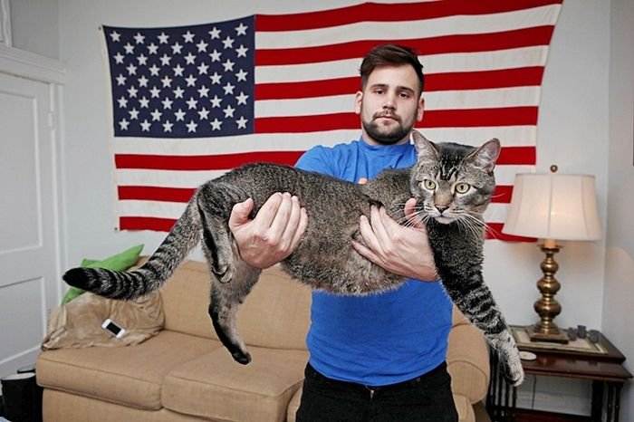 Самые крупные кошки