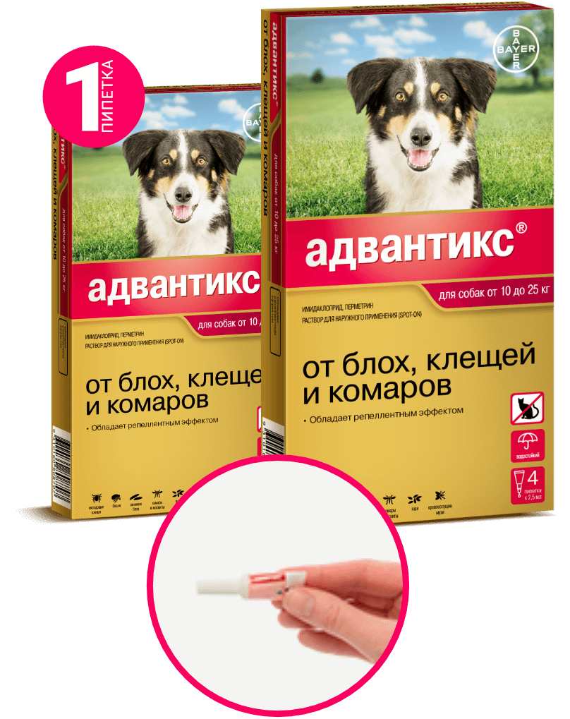 Адвантикс для собак - инструкция по применению, отзывы, цена | petguru