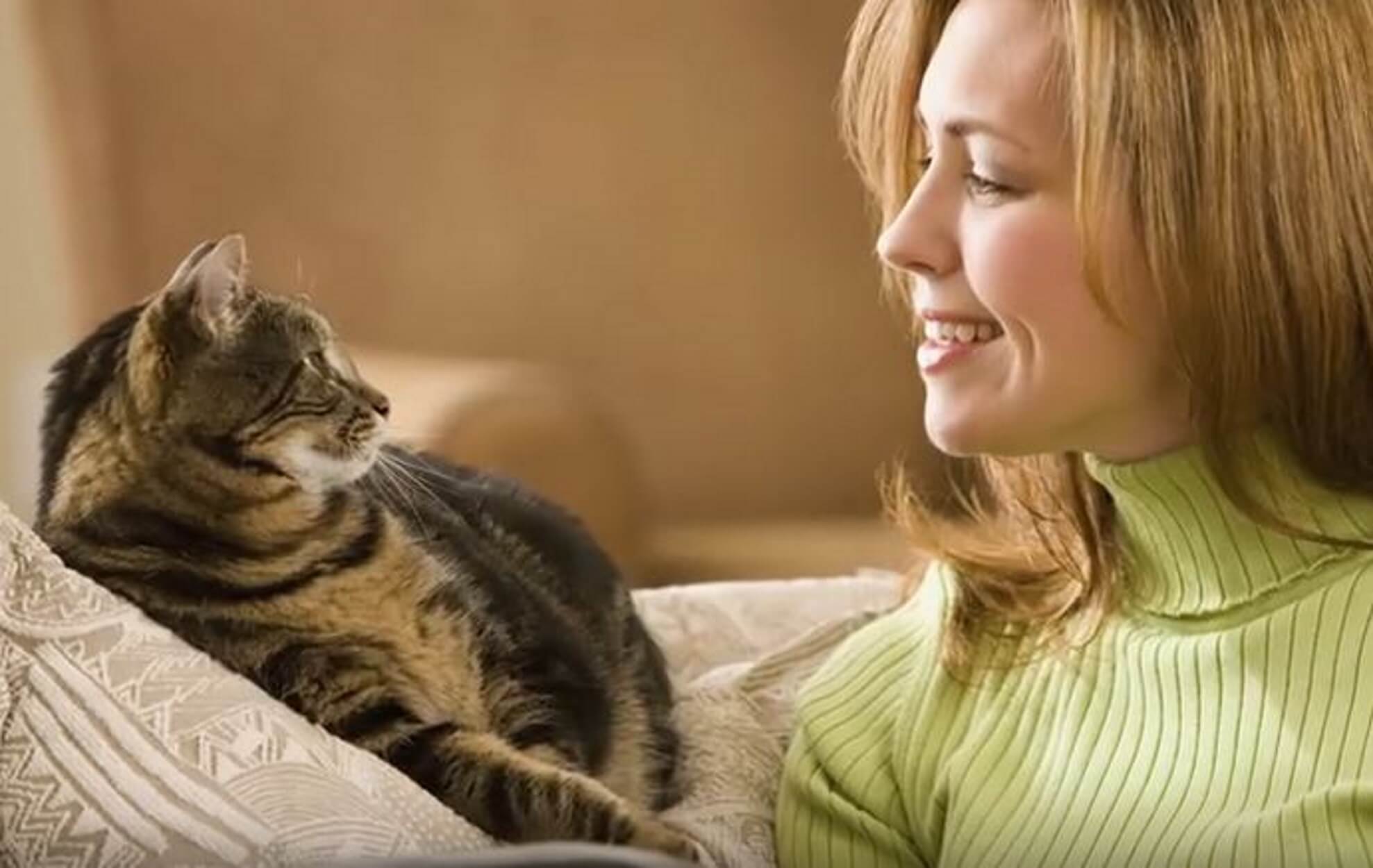 10 причин, почему у вас дома должен жить кот
