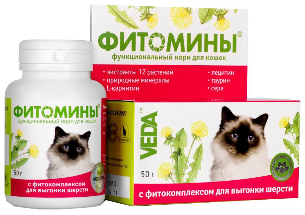 Витамины для кошек: какие выбрать