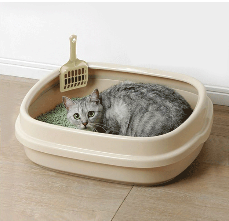 7 дешевых наполнителей для кошачьего туалета, которые лучше дорогих