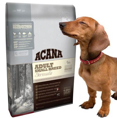 Корма для собак acana для мелких пород собак: ассортимент, анализ состава, преимущества и недостатки кормов, выводы