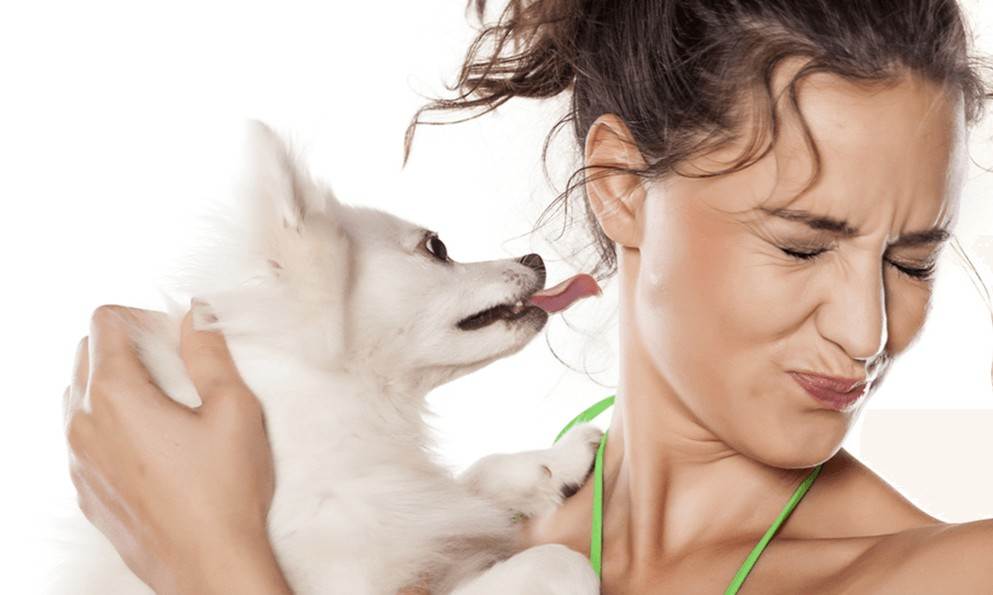 Причины неприятного запаха от собаки