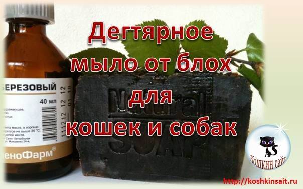 Дегтярное мыло от блох у кошек: инструкция по применению