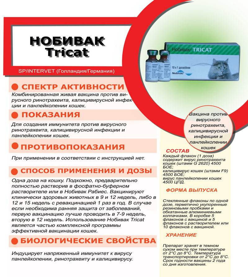 Вакцина для кошек нобивак: инструкция по применению