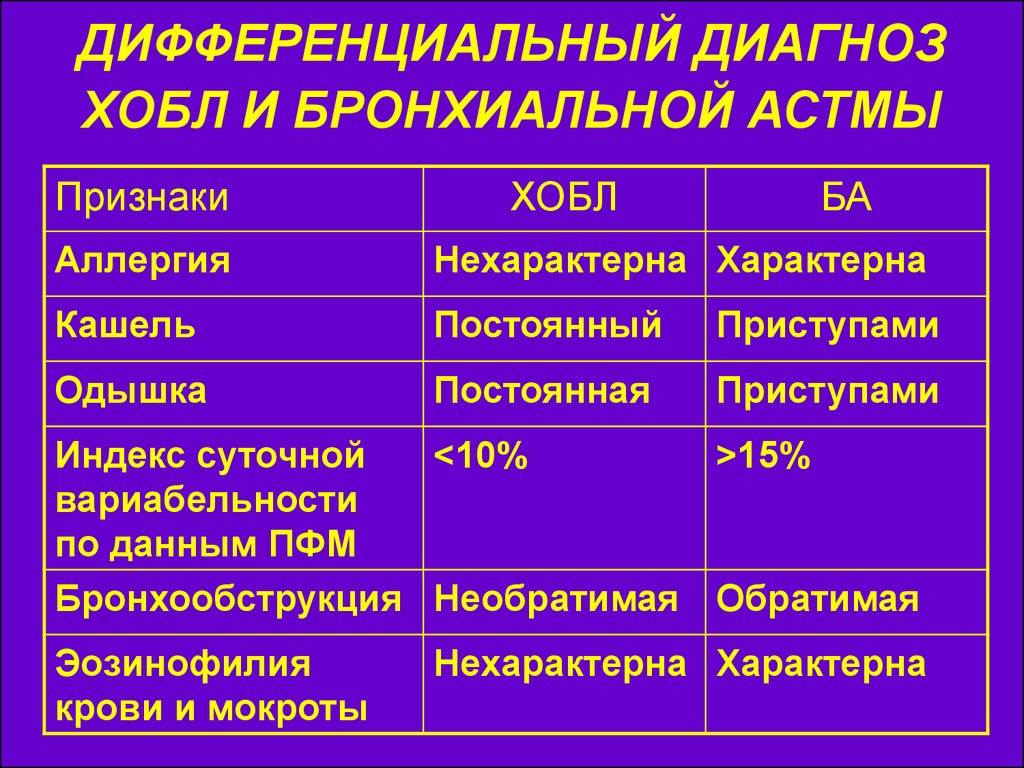 Астма у собак: симптомы, диагностика, лечение | блог ветклиники "беланта"