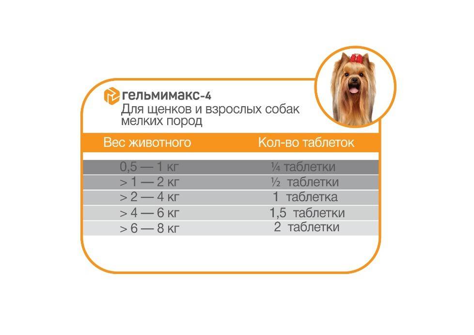 Гельмимакс для собак: инструкция по применению, дозировка, аналоги