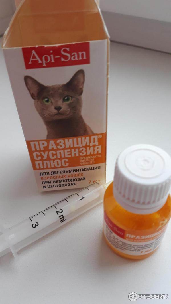 Празицид-комплекс (капли на холку) для собак и кошек | отзывы о применении препаратов для животных от ветеринаров и заводчиков