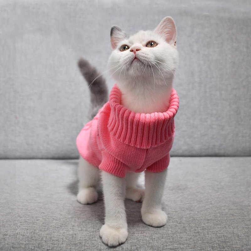 ᐉ как выбрать одежду для кошек? - ➡ motildazoo.ru