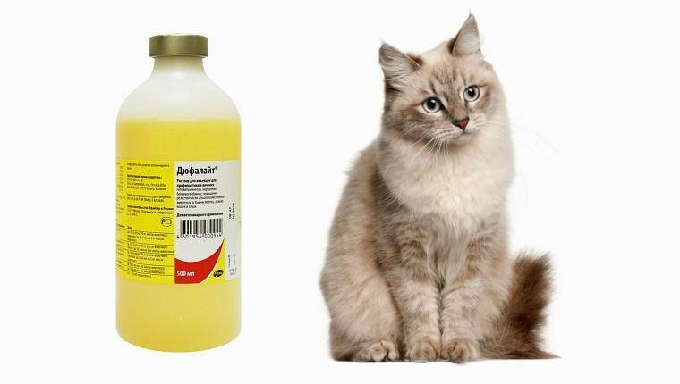 Дюфалайт для кошек – полный комплекс витаминов