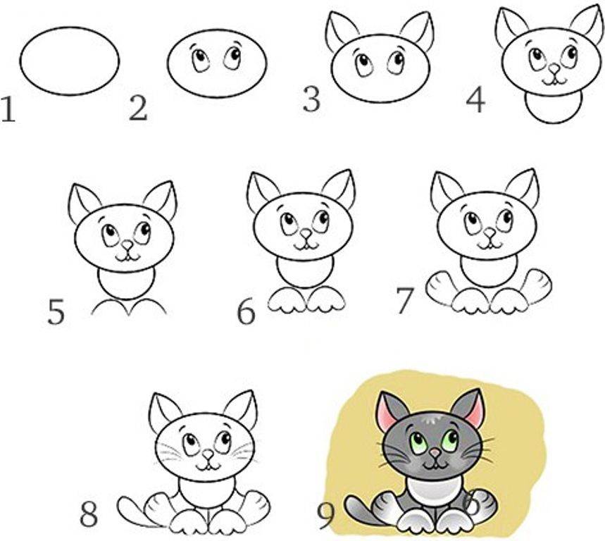 Как нарисовать кошку и кота карандашом поэтапно | для начинающих, рисунок