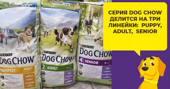Корм для собак дог чау: виды и состав, отзывы ветеринаров и заводчиков