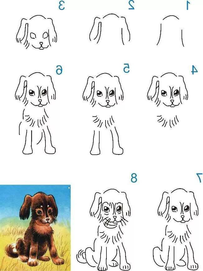 Как нарисовать собаку: 10 разных пошаговых схем