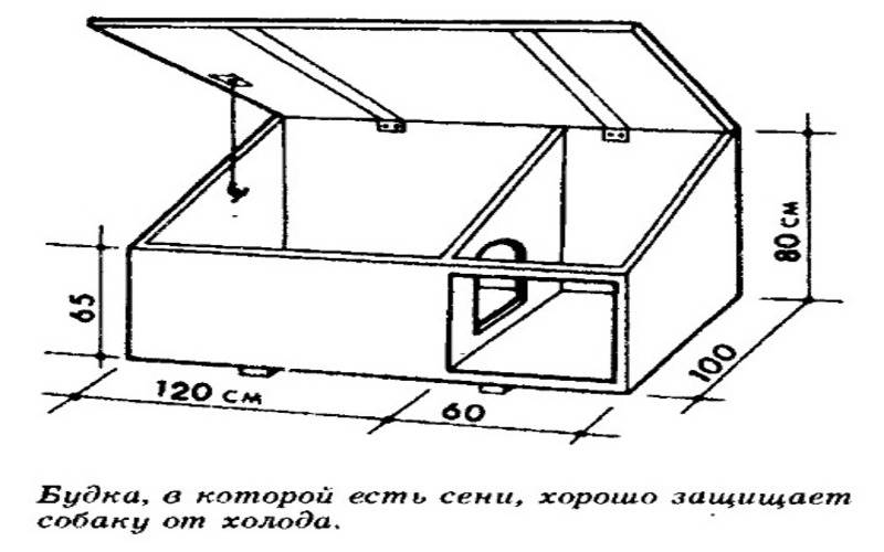 Вольер своими руками чертежи