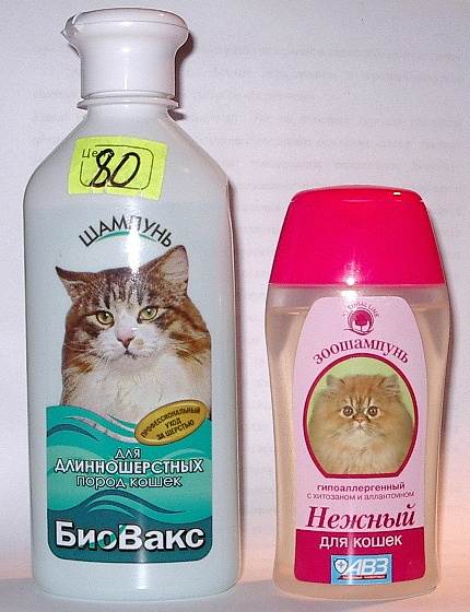 Сухой шампунь для кошки: особенности выбора и применения, популярные производители косметического продукта и отзывы владельцев животных