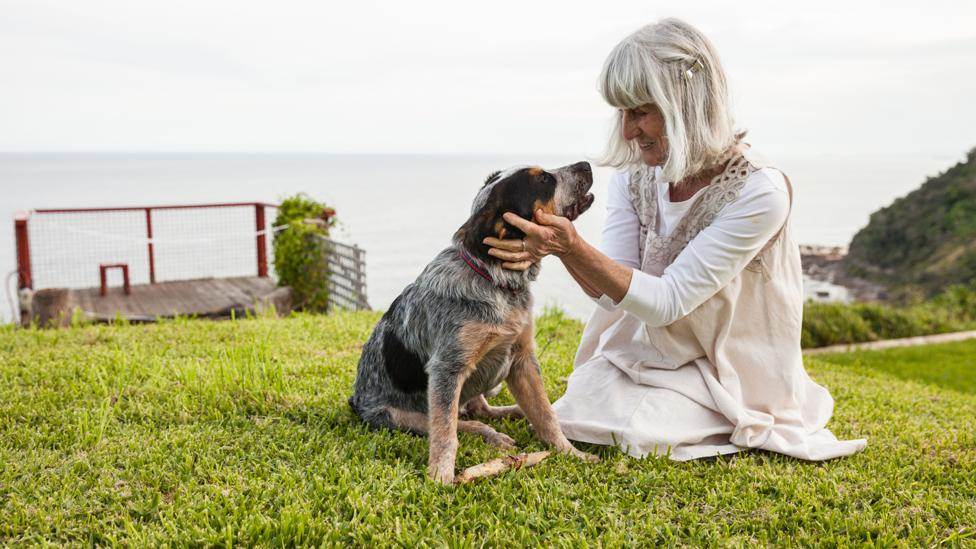 7 советов, как продлить жизнь своей собаки