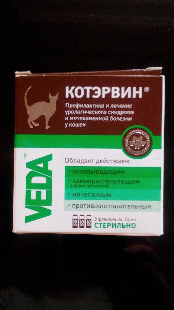 Фитоэлита здоровые почки (таблетки) для кошек и собак | отзывы о применении препаратов для животных от ветеринаров и заводчиков