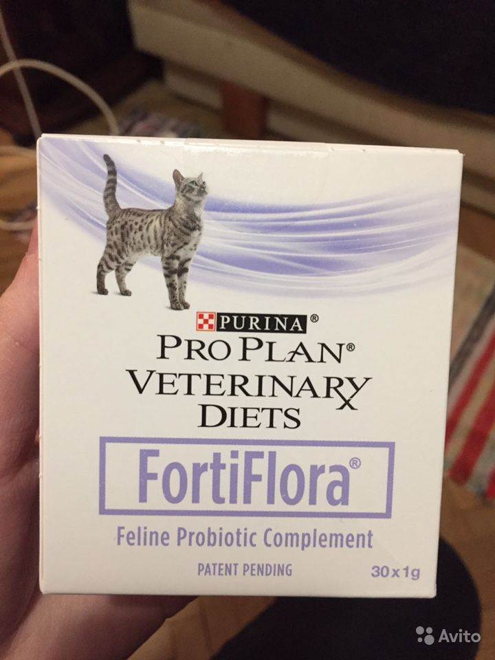 Пробиотик «фортифлора» для кошек: состав, инструкция по применению