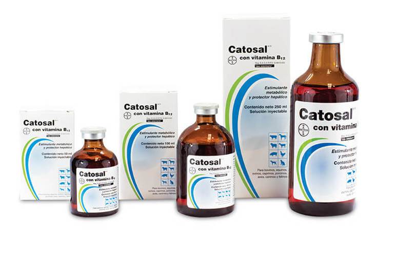 Катозал для кошек: инструкция по применению и отзывы о лекарственном препарате