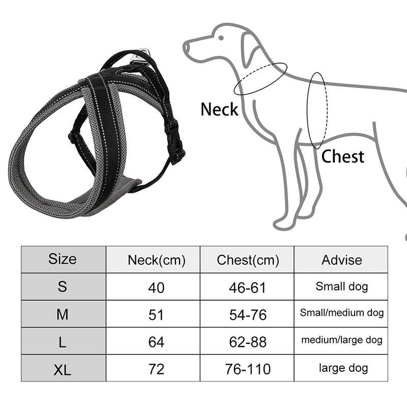 Шлейка для собак: что такое, как правильно выбрать и носить аксессуар