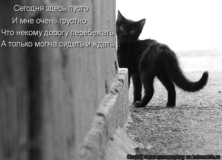 Сегодня я грущу. Чёрная кошка перебежала дорогу. Грустно и пусто. Теперь очень грустно. Так грустно, и так пусто.