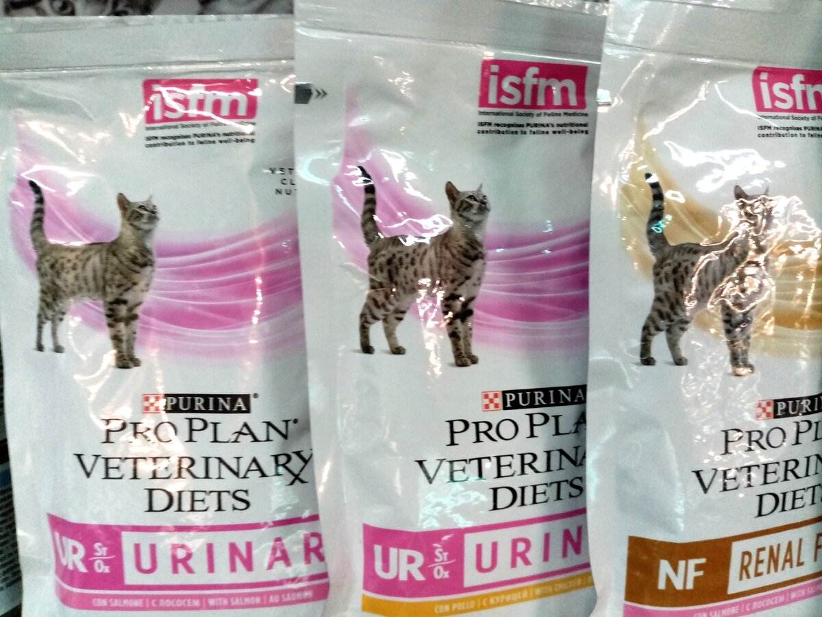Лечебные корма для кошек при мочекаменной болезни | чем кормить при мкб