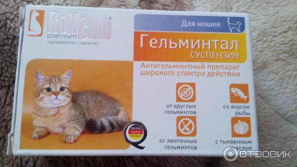 Препараты для дегельминтизации кошек