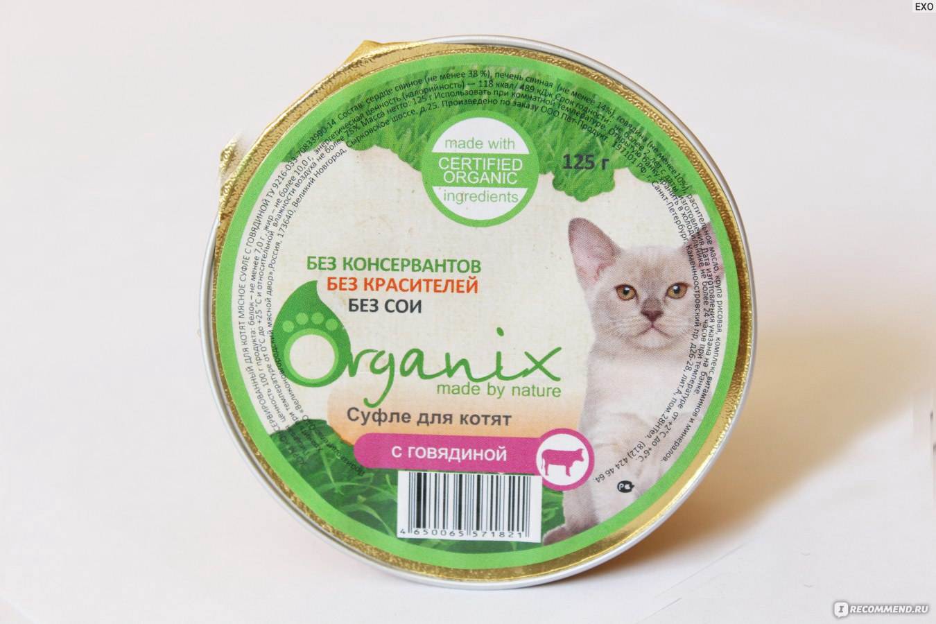 Organix для кошек: сведения о производителе и состав корма