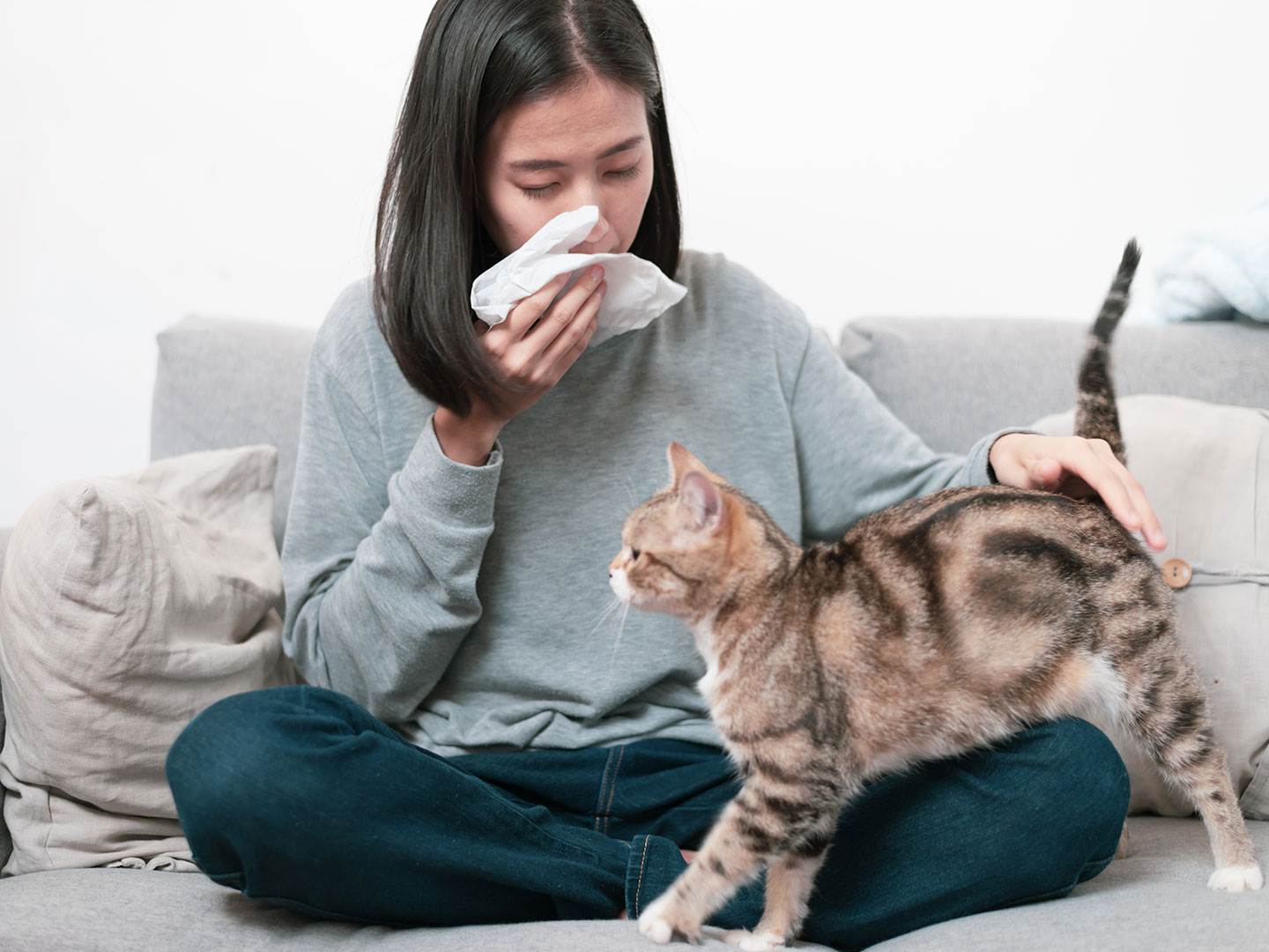 Кошка в доме и дети-аллергики - детки - астматики - страна мам