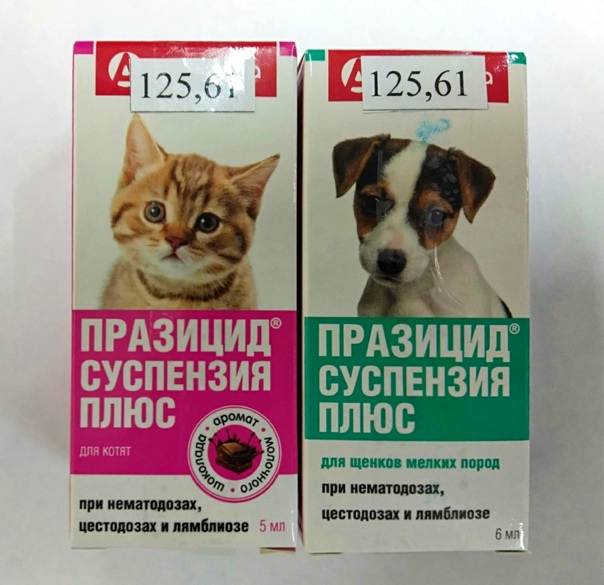 Имунофан для кошек и котов: инструкция по применению у взрослых животных и котят, отзывы, аналоги