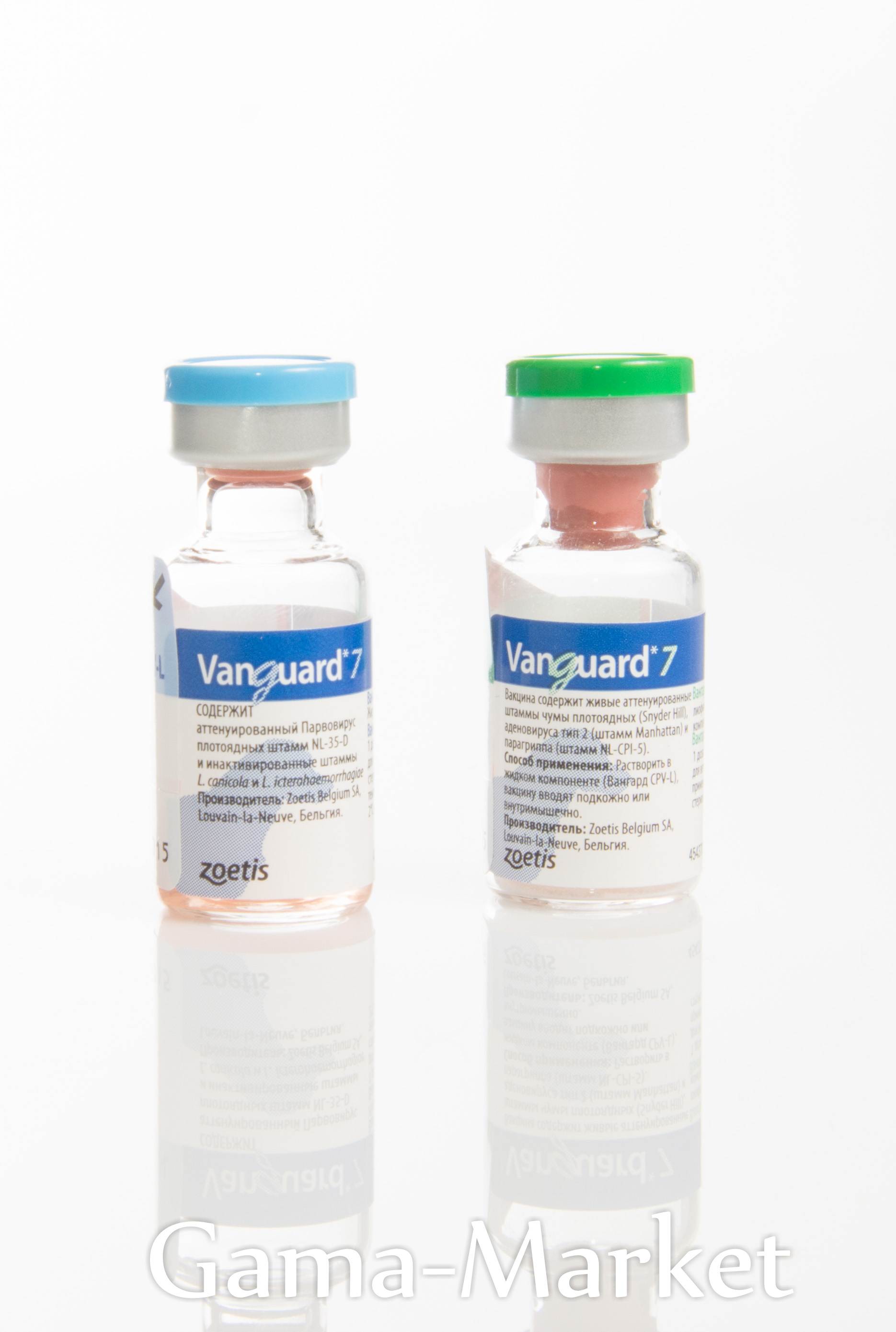 Вакцины вангард 5 и вангард 7: инструкция по применению - вет-препараты