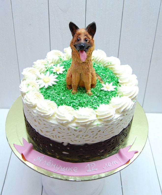 Как испечь торт для собак? рецепт