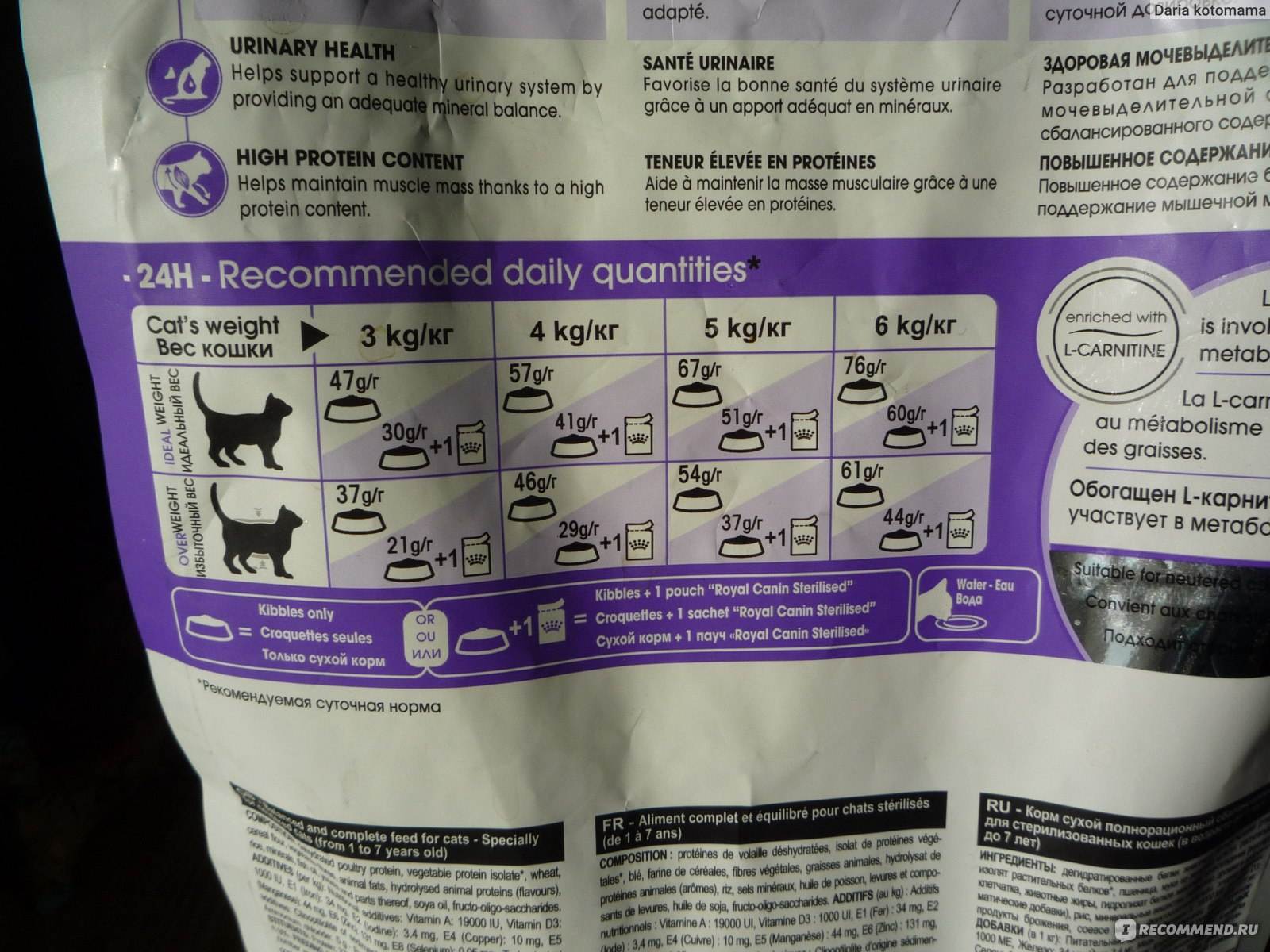 Правильное питание кошек | муркоша