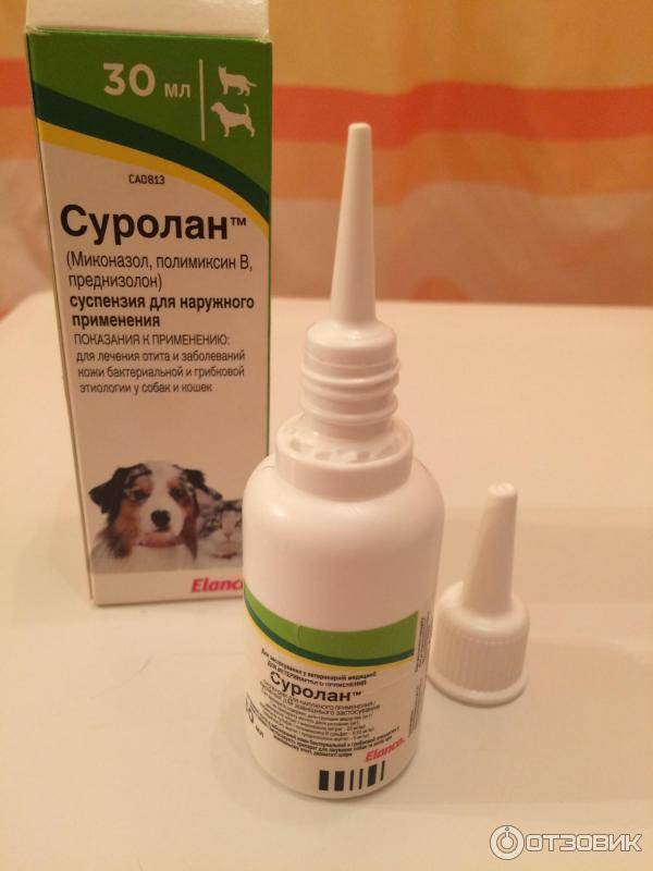 Инструкция по применению ушных капель «суролан» для собак и кошек
