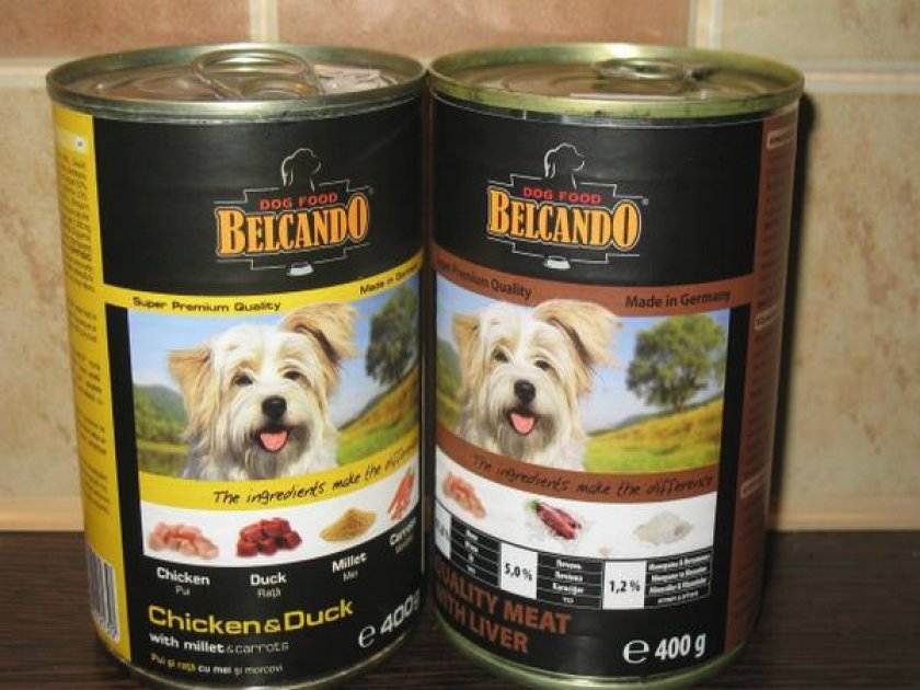 Корм «belcando» («белькандо») для собак: описание, обзор, виды, плюсы и минусы