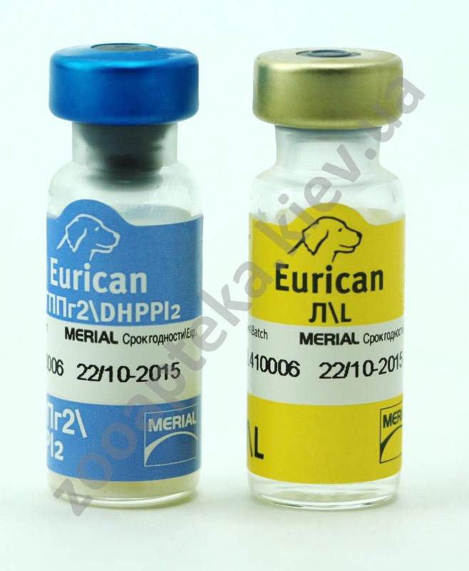 Инструкция по применению вакцины  эурикан dhppi (dhppi2, dhppi2 lr и dhppi2 l) для собак. состав, упаковка, показания и противопоказания, особенности применения вакцины eurican dhppi2-l