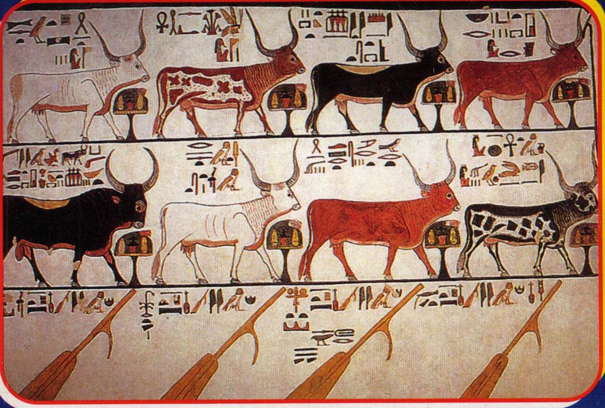 Культ кошки в древнем египте