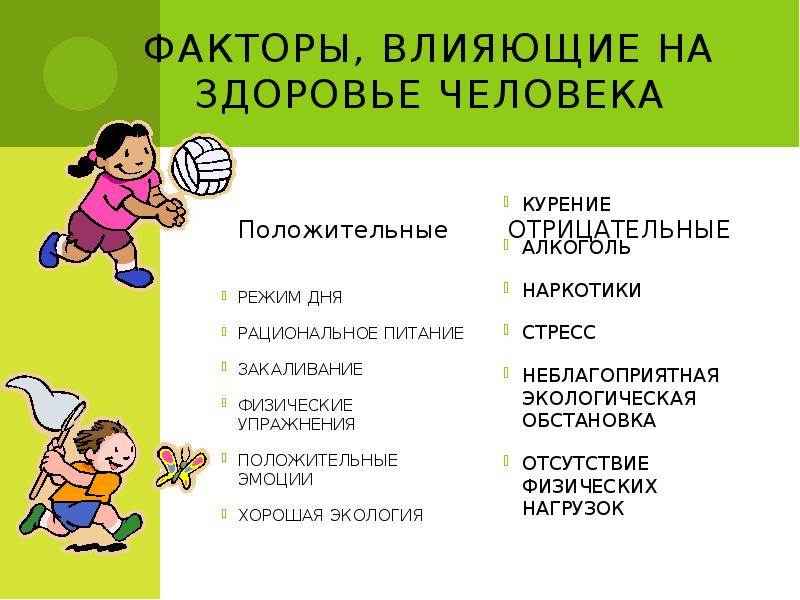 ᐉ сколько живут спаниели в домашних условиях? - zoomanji.ru