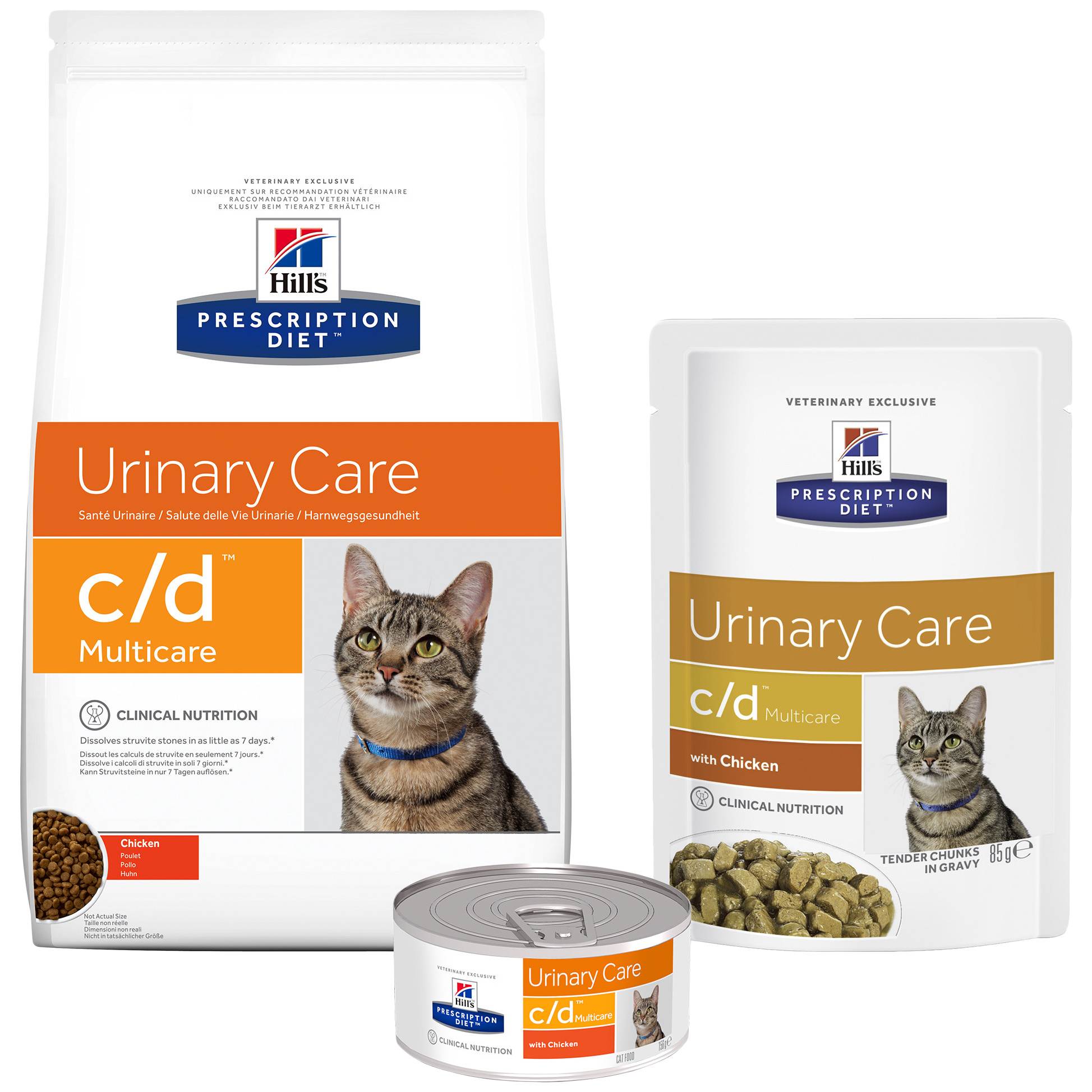 Кормление кошек при мочекаменной болезни (мкб): натуральные продукты и сухие корма