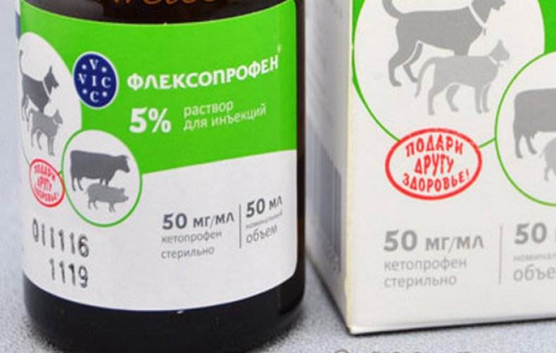 Флексопрофен для собак – скорая помощь при боли